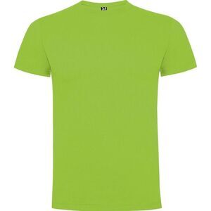 Roly Mens Dogo  T-Shirt / Oasis Green
